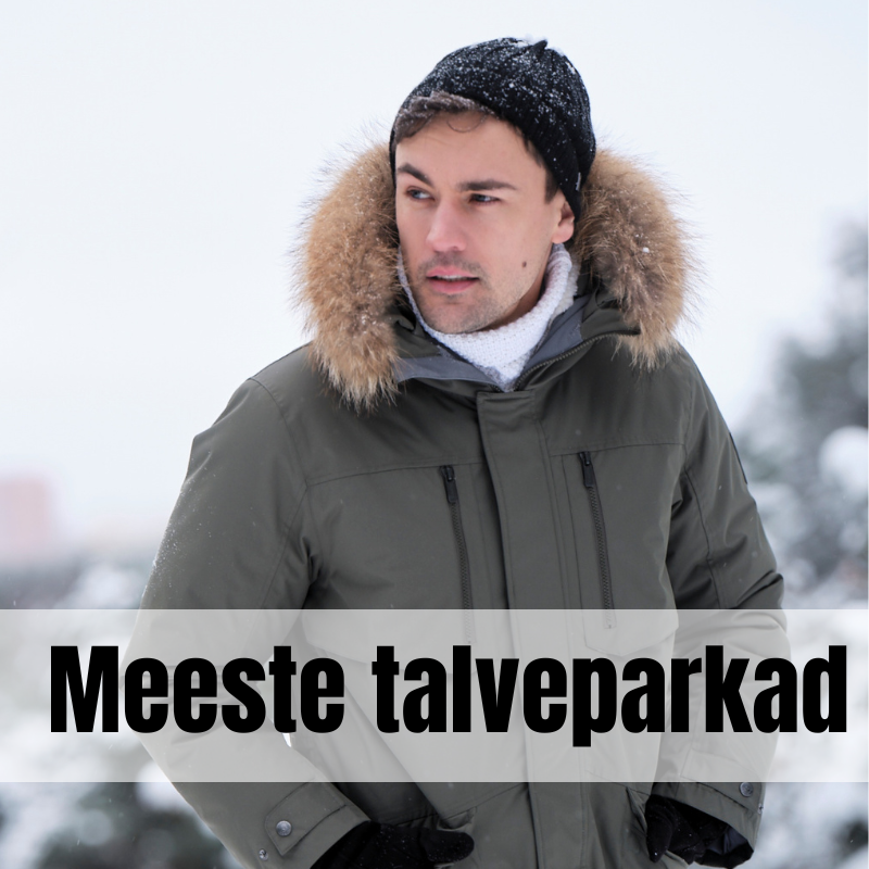 Meeste talveparkad